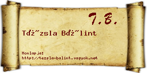Tézsla Bálint névjegykártya