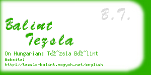 balint tezsla business card